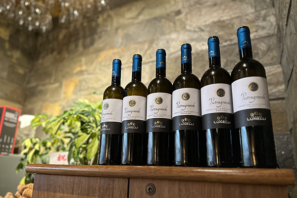 イタリア産、スペイン産の厳正されたお手頃価格で楽しめるワイン